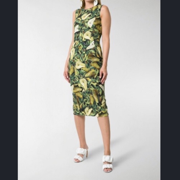 Dolce & Gabbana Dresses & Skirts - Dolce & Gabbana Cady Pear-Print Pencil Dress